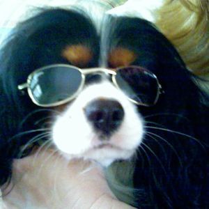 Meet your Posher, Kathy